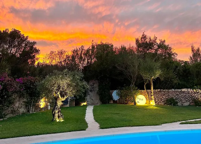 Ibiscus * Cannigione