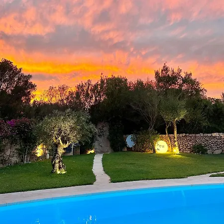 Ibiscus * Cannigione