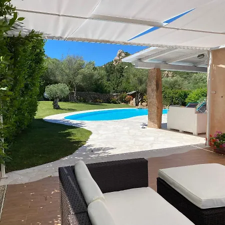 Ibiscus * Cannigione